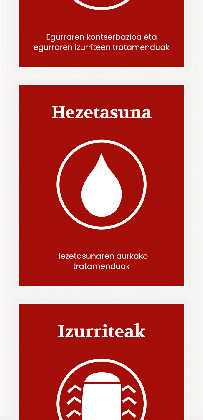 Captura móvil de la sección de servicios del proyecto web de Bizkaiko Garbi con tarjetas rojas de Hezetasuna e Izurriteak