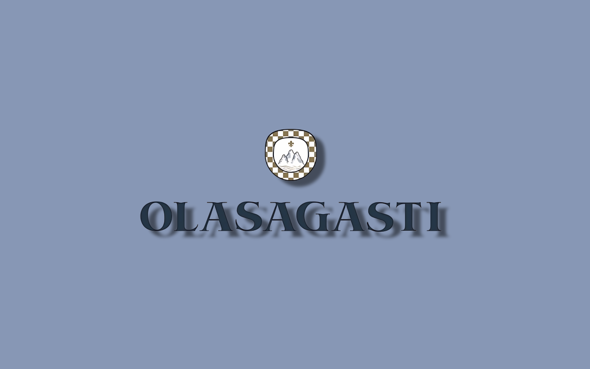 Logotipo del proyecto web de Conservas Olasagasti en azul oscuro sobre fondo azul claro