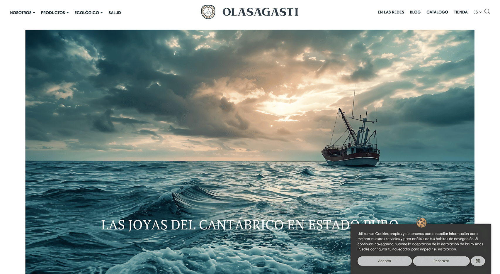 Sección de inicio de la página web de Conservas Olasagasti, con una imagen de un barco pesquero en alta mar bajo un cielo nublado